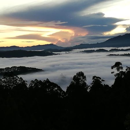 Ohiya Mount Plaza Daire Boralanda Dış mekan fotoğraf