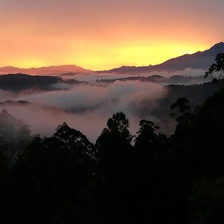 Ohiya Mount Plaza Daire Boralanda Dış mekan fotoğraf