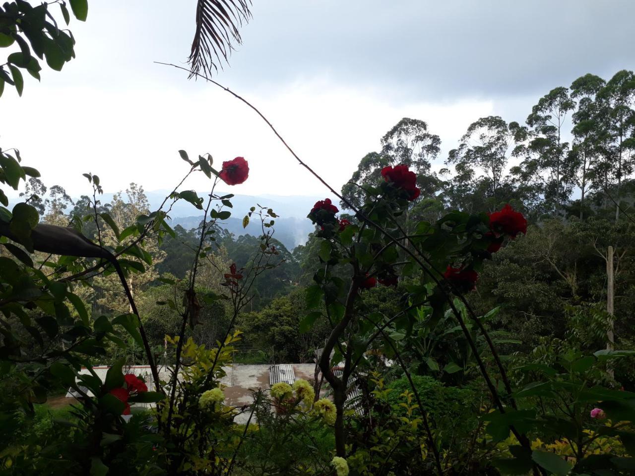Ohiya Mount Plaza Daire Boralanda Dış mekan fotoğraf