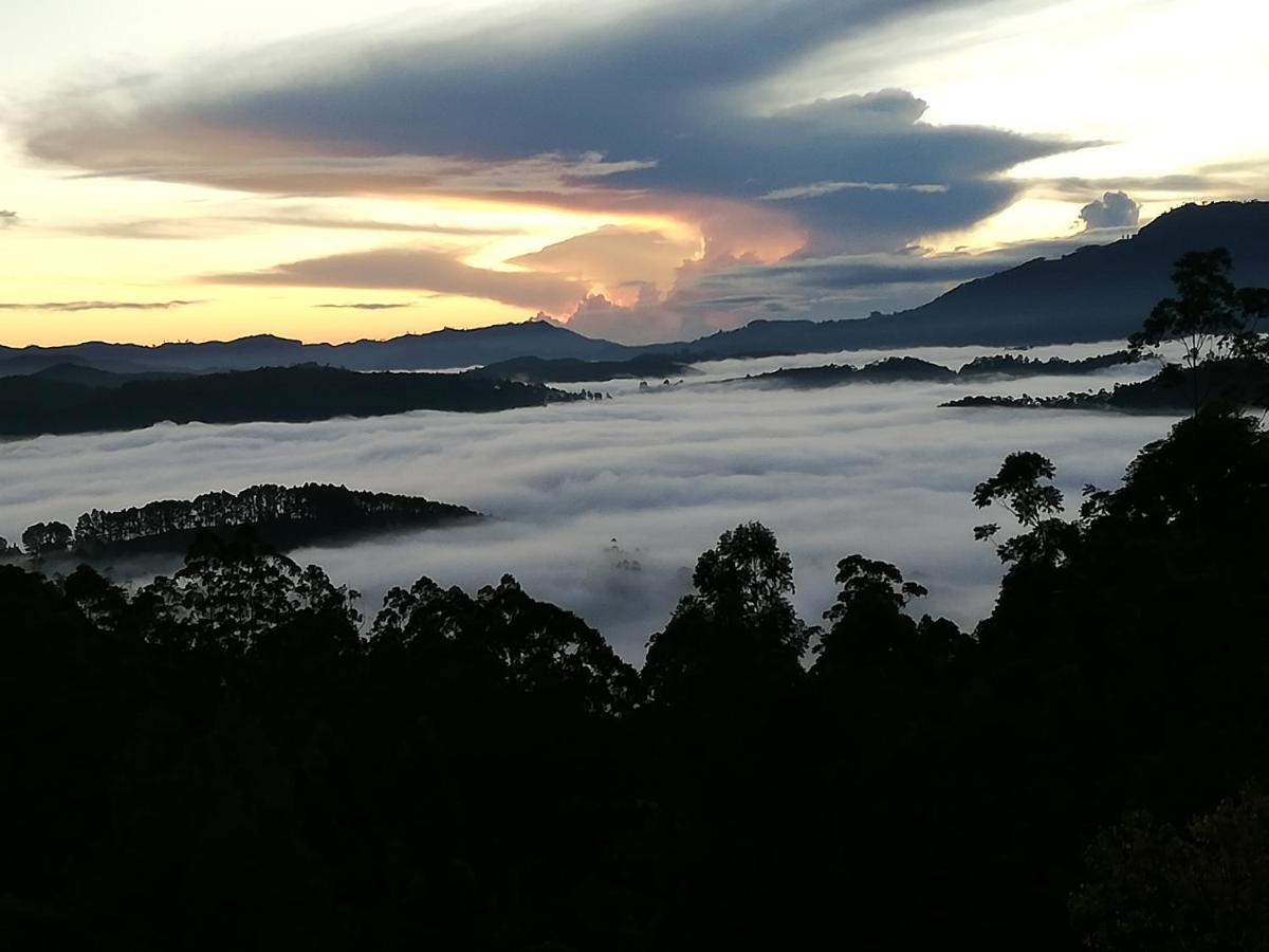 Ohiya Mount Plaza Daire Boralanda Dış mekan fotoğraf