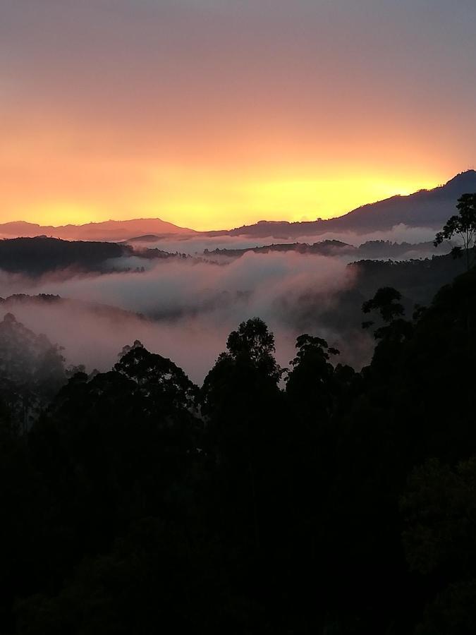 Ohiya Mount Plaza Daire Boralanda Dış mekan fotoğraf